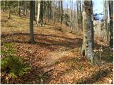 Divje jezero - Hleviška planina